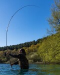 Fox Prut Eos Pro Rod 13ft 3,5lb 50mm 2díl