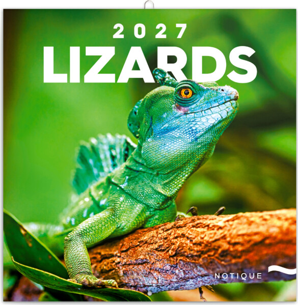 Kalendář 2027 poznámkový: Ještěři, 30 x 30 cm