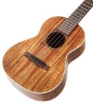 Martin 2K Tenor Uke