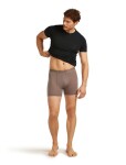 Pánské merino boxerky ICEBREAKER Mens Anatomica Boxers, Porcini velikost: XL