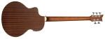 Ortega D7CE-5