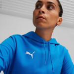 Mikina Puma Team Goal Casuals Hoody W 658621 02 L