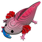 EUGY 3D kartonová skládačka - Axolotl