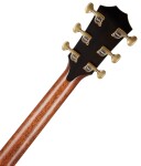 Taylor PS14ce