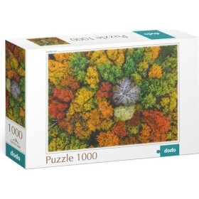 Puzzle Dzembronya, Ukrajina