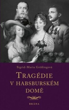 Tragédie v habsburském domě - Sigrid-Maria Grössingová - e-kniha