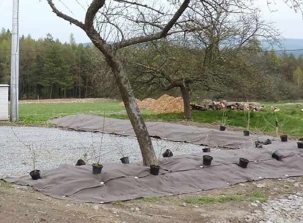 Rozložitelná ekotextilie ze 100% biomasy přírodními vlákny) Agrotextílietilie EKO+ 157 g/m² m²]