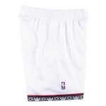 Mitchell & Ness Pánské kraťasy Vancouver Grizzlies NBA 1998-99 Swingman Shorts Velikost: L