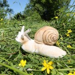Plyšový šnek/hlemýžď 24 cm, ECO-FRIENDLY