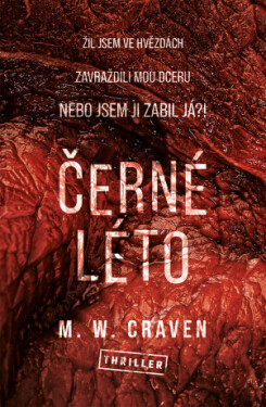 Černé léto - M. W. Craven - e-kniha