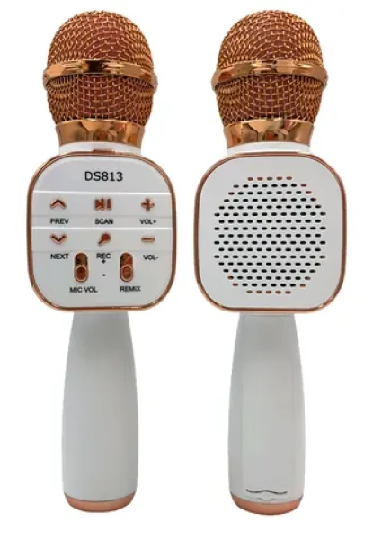 Eljet Karaoke mikrofon Star růžovo-zlatá (8594176639956)