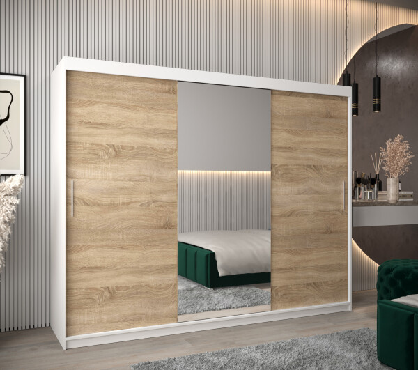 Šatní skříň Abi T1 Barva korpusu: Bílá, Rozměry: 250 cm, Dveře: Dub sonoma