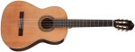 Ortega R19G