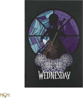 Wednesday Zápisník - Cello and Stained Glass