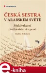 Česká sestra v arabském světě. Multikulturní ošetřovatelství v praxi - Markéta Ryšlinková e-kniha