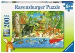 Ravensburger Lesní přátelé