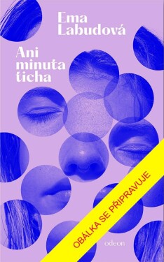 Ani minuta ticha - Ema Labudová