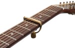 G7th Heritage 1 12-String Guitar Gold