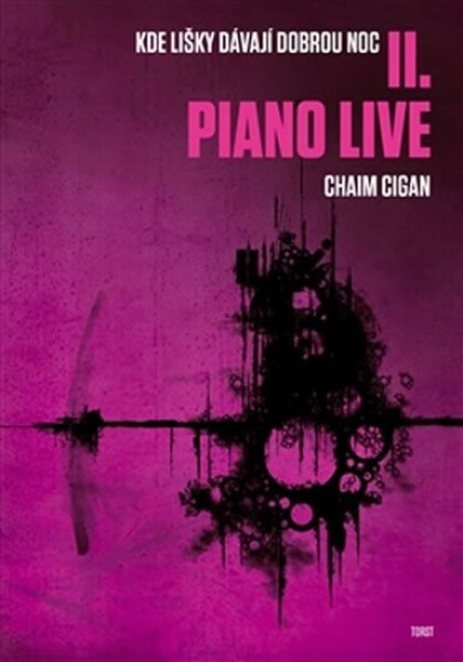 Piano live Chaim Cigan