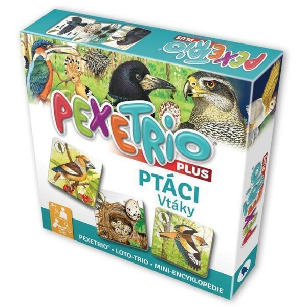 Pexetrio Ptáci