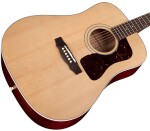 Guild D40E Standard NAT