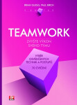 Teamwork v kostce - Paul Birch
