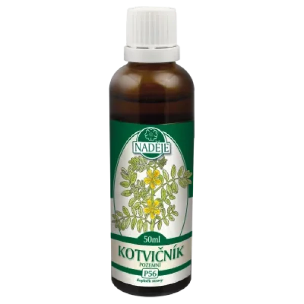 Kotvičník pozemní (P56)