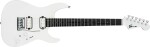 Charvel Pro-Mod Plus DK24 HH 2PT EB EBY CLSTL SLK