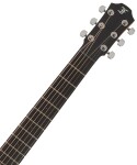 Furch Pioneer CM CNR Active