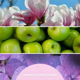 Millefiori Milano Magnolia Blossom Wood starorůžová / Vonný difuzér / 100 ml (77MDMW)