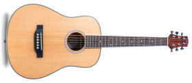 Carry-on Mini Acoustic Guitar