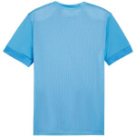 Puma teamGoal Matchday Jersey M 705747 18 pánské m