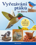 Vyřezávání ptáků ze dřeva - kolektiv autorů