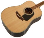 Takamine GD51-NAT