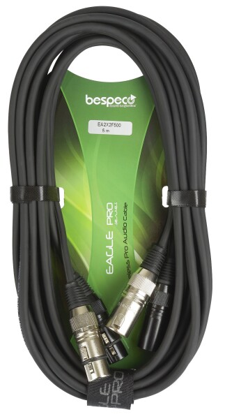 Bespeco EA2X2F500