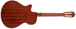 Ibanez AEG50N Natural