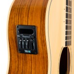 Tanglewood TRX8E