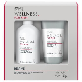 Baylis & Harding Sada pánské kosmetiky Wellness for Men, šedá barva, plast