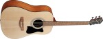 Ibanez V50NJP Natural