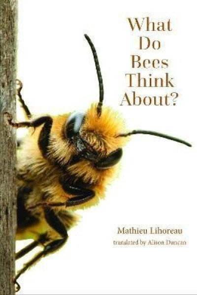 What Do Bees Think About? - Mathieu Lihoreau