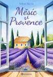 Měsíc Provence