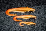 Fox Rage Gumová nástraha Ultra Realistic Replicant Catfish Golden Wels - 15cm 51g,Fox Rage Gumová nástraha Ultra Realistic Replicant Catfish Golden We
