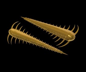 Libra Lures Červ Slayzur 55 12ks - Coffee Milk 036,Libra Lures Červ Slayzur 55 12ks - Coffee Milk 036