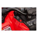 Mamido Dětská elektrická čtyřkolka Can-Am Outlander ATV 24V 4x200W červená