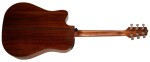 Takamine GD30CE-NAT