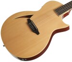 ESP LTD TL-6 N NAT
