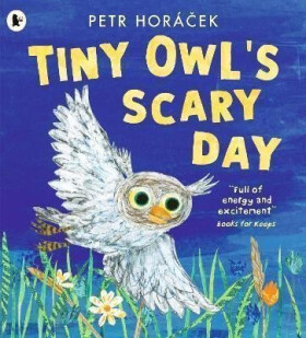 Tiny Owl´s Scary Day - Petr Horáček