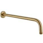 REA - Kulaté sprchové rameno JS-9021 40cm Brush gold REA-P6850