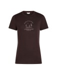 Dámské merino triko krátký rukáv ICEBREAKER Wmns Merino 150 Tech Lite SS Tee Peace Pas, Bittersweet velikost: S