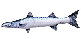 Gaby Polštář Barakuda Giant 110 cm,Gaby Polštář Barakuda Giant 110 cm